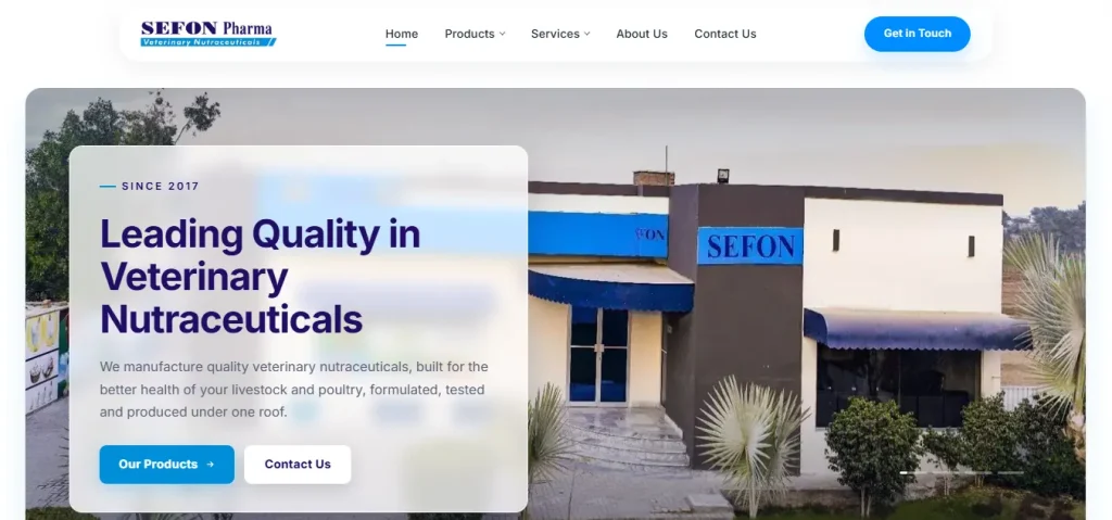 SEFON Pharma Website: Building Its Online Presence | DigiCore